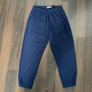 Aritzia Babaton Dexter Pant (Navy Blue)